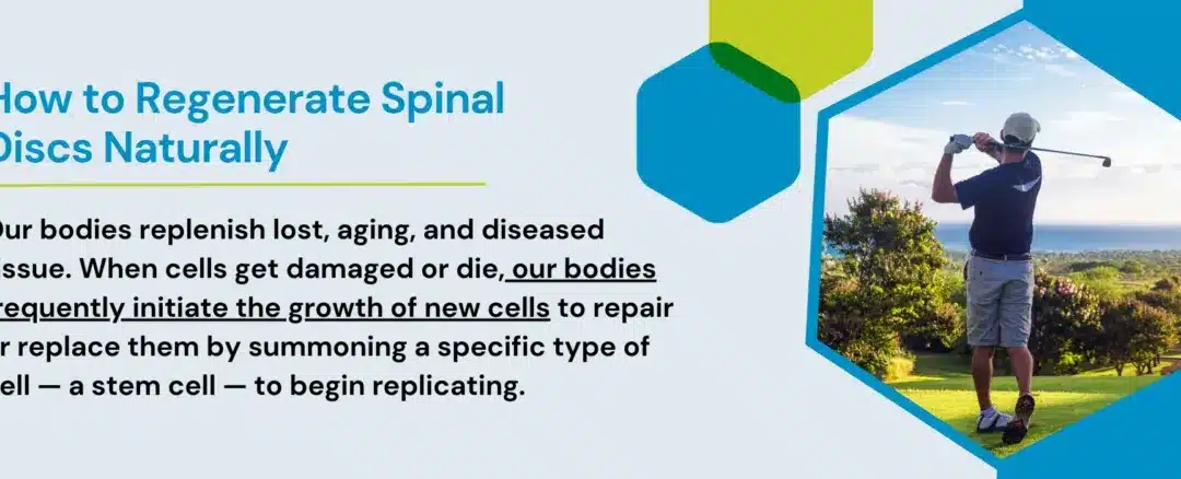 How to Regenerate Spinal Discs Naturally