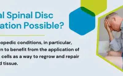 Is Natural Spinal Disc Regeneration Possible?
