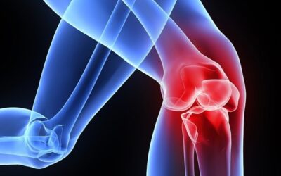 Stem Cells from Fat vs. Bone Marrow – Best Sources for Cartilage Repair