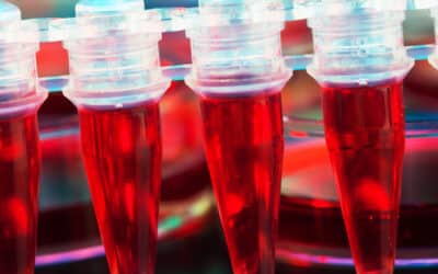 10 Stem Cell Myths & Truths