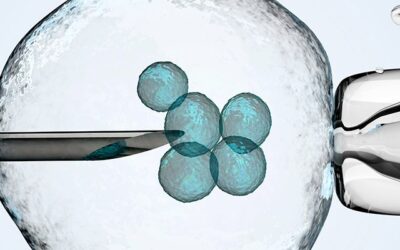 Stem Cell Therapy Procedures: What, Why and How
