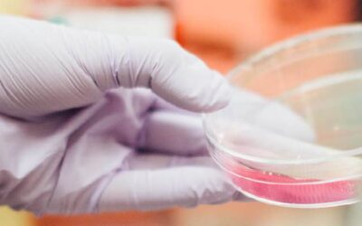 3 Stem Cell Therapy Benefits Over Traditional Surgery