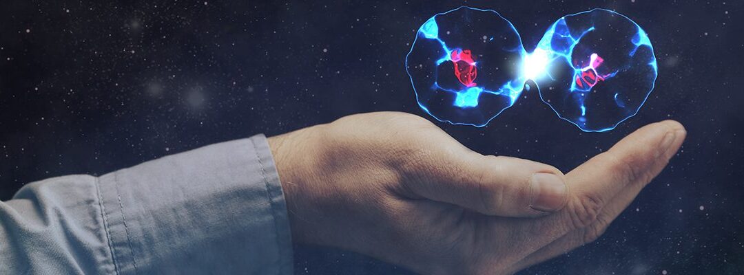 Your Resource for Stem Cell Studies