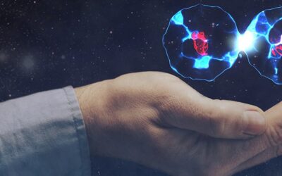 Your Resource for Stem Cell Studies